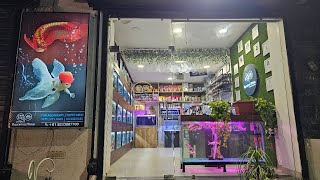 Finest Aquarium Store in Rajasthan  Aquarium Prime Jaipur [upl. by Afatsum]