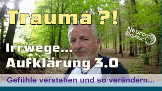 Traumatische Erlebnisse auflösen  lass dir keinen Quatsch erzählen TraumaAufklärung 30 [upl. by Cornie]