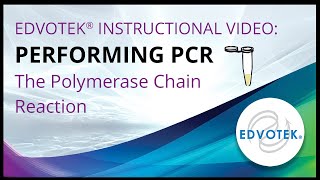 Performing the Polymerase Chain Reaction PCR  Edvotek Video Tutorial [upl. by Pimbley]