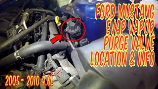 🔧 Ford Mustang Vapor Canister Purge Valve Location And Information 2005  2010 V8 46L 🚗 [upl. by Elia275]