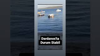 Dardanosta durum Stabil [upl. by Bibah]