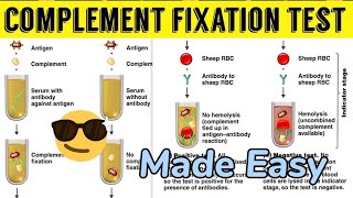 Complement Fixation Test Made Easy😎😎immunology [upl. by Enyrehtak274]