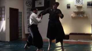 Ogawa Ryu  Aikijujutsu Sanbon me Training Moments [upl. by Oznofla]