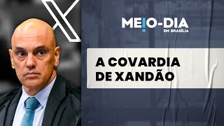 Alexandre de Moraes quottigrãoquot para bloquear o X e quottchutchucaquot para liberar [upl. by Annaig26]