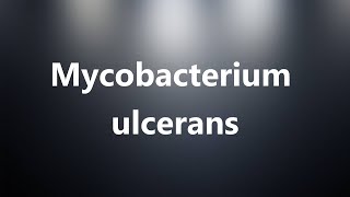 Mycobacterium ulcerans  Medical Definition and Pronunciation [upl. by Enej]