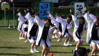 平塚学園高等学校チアリーディング部よさこい・星舞フェスタ2011 [upl. by Ellerd]