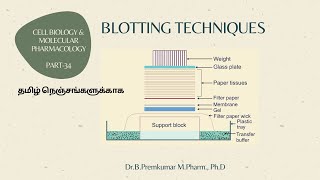 Blotting techniques  CBMP34Tamil [upl. by Desmond]