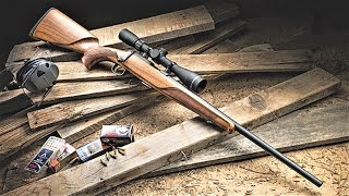 TOP 5 BEST STEYR RIFLES 2024 [upl. by Benge]