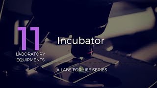 Incubator [upl. by Arvo]