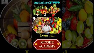 What are the different classifications of agriculture minsheacademy minshe geography [upl. by Ttej]