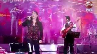 ANA GABRIEL VIÑA DEL MAR 2014 [upl. by Agretha]