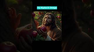 quotJesus Picks a Giant Apple 🍎  Divine Harvest 🌟quot shorts jesus jesuschrist ai [upl. by Soluk]