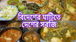 দেশিয়ো সব খাবার  আজকে রান্না করবো নিজের হাতের লাগানো সব সবজি  Bangla Vlog  Ripa Alam uk [upl. by Ridgley]