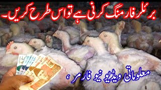 how to broiler chicken farmingchicken farming profitchicken farming business [upl. by Nodnar215]