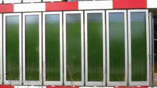 How Algae feed a House [upl. by Ritter]