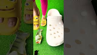 crocs giant slippers shoes funny sandals love trending footwear amazingfacts [upl. by Deedee]