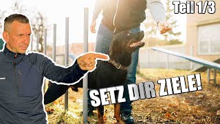 Für ERFOLG braucht man KLARE ZIELE  Ziele setzen 13 [upl. by Cath]