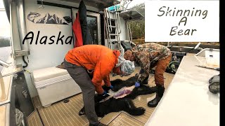 Bear Skinning on a boat in Prince William Sound Alaska [upl. by Tonya]