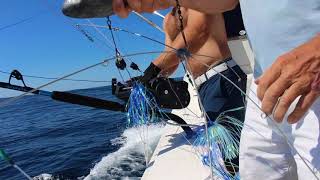 Offshore Fishing Tip Deploying a Dredge [upl. by Asilav510]