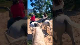 Montando a caballo en Cantabria Spain travel autocaravanalife automobile [upl. by Silvia693]