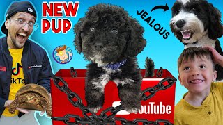 NEW PUPPY Surprise YOUTUBE Sent Us This BOX FV Family Surprise Oreos Brother Vlog [upl. by Ludba]