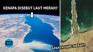 APANYA YANG MERAH Kenapa Laut ini disebut Laut Merah [upl. by Lani]