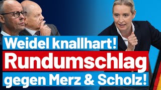 Merz stinksauer Alice Weidel rechnet knallhart mit der CDU ab  AfDFraktion im Bundestag [upl. by Malik606]