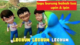 Burung Kakak Tua Upin amp Ipin lagu burung kakak tua upin dan ipin burung kakak tua upin ipin [upl. by Yecnay]