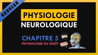 Physiologie Neurologique  Chapitre 5  Physiologie du goût [upl. by Rihana]