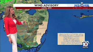 South Florida under wind advisory [upl. by Kreitman]