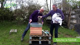 Quel MATÉRIEL pour DÉMARRER une RUCHE au JARDIN  🐝 [upl. by Aicirtac]