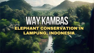 quotWay Kambas National Park A Journey into Indonesias Wildlife Wonderlandquot [upl. by Sheri63]