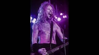 Seattle 89 James Hetfield  That Was Just Your Life Metallica AI Cover [upl. by Nnayhs]