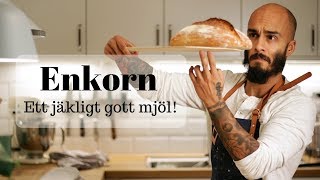 Enkorn  Ett jäkligt gott mjöl [upl. by Amiel46]