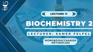 Biochemistry 2 Monosaccharides amp Disaccharides Metabolism [upl. by Namzzaj]