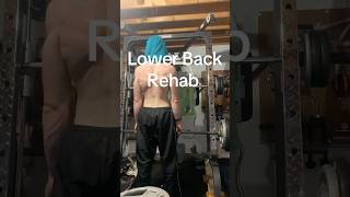 Lower Back RehabNovember 24 2024gymrehabcoachcoachingrecoverylowbackgymmotivationgymgirl [upl. by Ithsav]