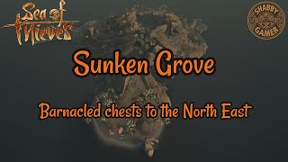 Barnacled Chests To The North East  Sunken Grove  Sea Of Thieves Riddle Solution [upl. by Louis983]