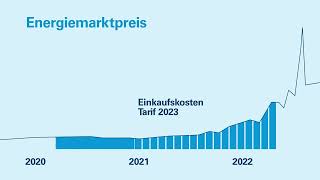 Wird der Stromtarif 2024 erneut steigen [upl. by Dannye]