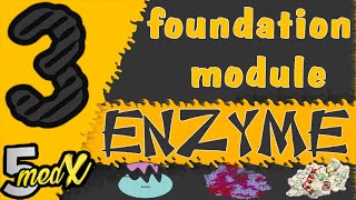 foundation module  Enzyme lecture 3 [upl. by Barby277]