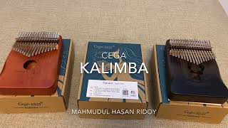 Cega Kalimba Unboxing amp Short Review [upl. by Loutitia]