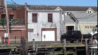 Maine Family Trip 2017  Bait Shack in Portland [upl. by Adelaide]