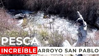 PESCA CON MOSCA ESTANCIA ARROYO SAN PABLO 🏆 MIRA EL VÍDEO 🎣🐟 FLY FISHING [upl. by Enilarac416]