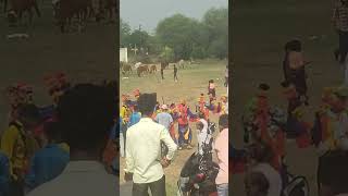 Kushmee balod cg matar cg chhattisgarh maharashtra nagpur rajnandgaon shorts video trend [upl. by Yovonnda]