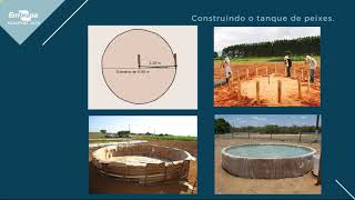 Agrotins 2020Palestra Sisteminha Embrapa Alternativa para segurança alimentar em tempos de COVID 19 [upl. by Kerstin856]