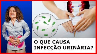 O que causa Infecção Urinária [upl. by Means556]