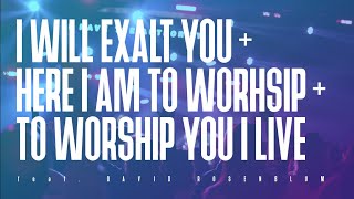 I Will Exalt You  Here I Am To Worship  To Worship You I Live feat David Rosenblum [upl. by Forrest]