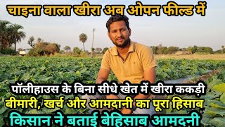 खीरा ककड़ी की हाईटेक खेती  Cucumber Farming on mulch  चाइना खीरा पाली हाउस की जगह ओपन फिल्ड में [upl. by Friedrich]