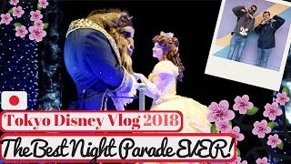 Tokyo Disneyland Vlog May 2018  Tokyo Disneyland Electrical Parade amp Fireworks  KrispySmore 5 [upl. by Eenhpad270]