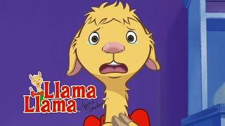 Llama Llamas Neighborhood Compilation for Kids [upl. by Nicolea]