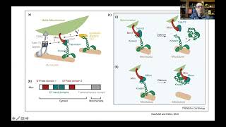 Bioenergetics and Brain Health 2 Mitochondrial Dynamics Biogenesis Disposal and Signaling [upl. by Roseann]